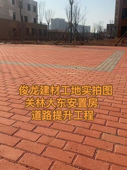 洛陽(yáng)關(guān)林大東安置房 道路提升工程