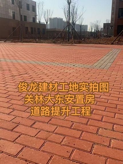 洛陽關(guān)林大東安置房 道路提升工程