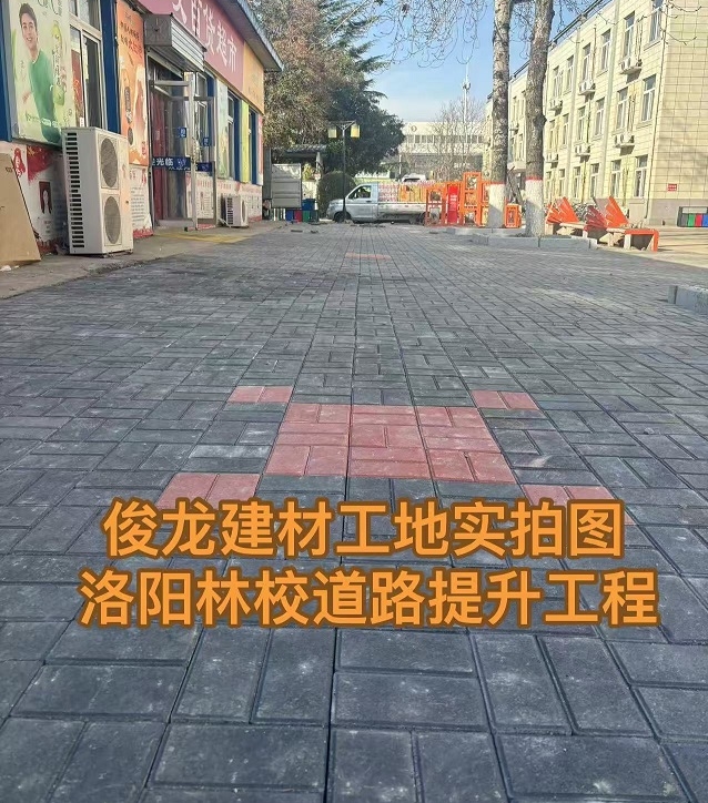 洛陽(yáng)林校道路提升工程
